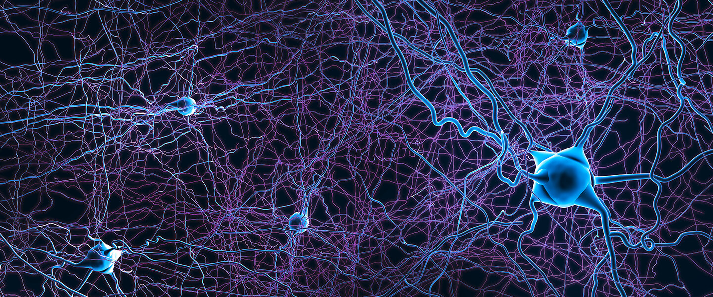 Study Finds Patterns of Brain Atrophy in Schizophrenia Converge on a Common Functional Brain Network
