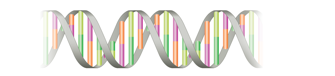 The First Robust Genetic Markers for ADHD Are Reported
