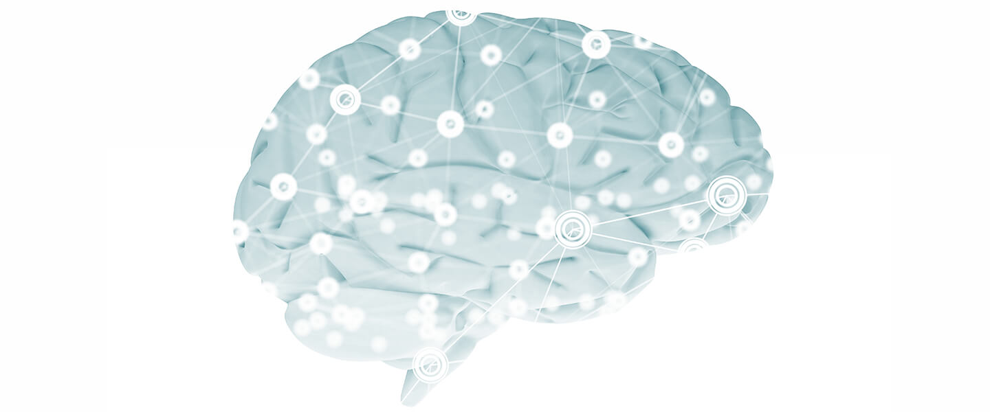 Findings About a Fear-Driven Learning Circuit Could Inform Efforts to Develop More Effective PTSD Treatments
