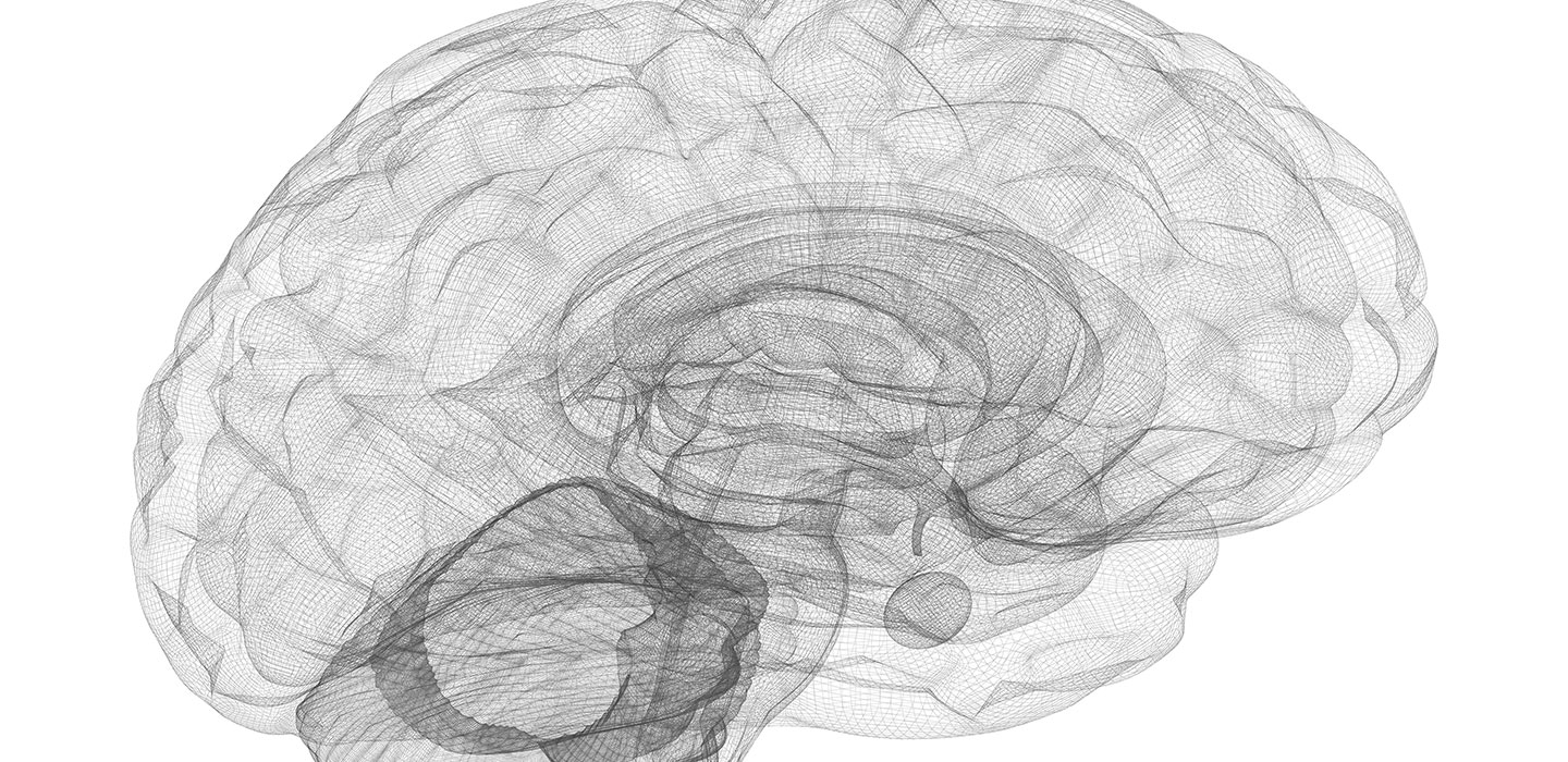 Parts of the Brain’s Hippocampus are Diminished in Size in People with Bipolar Disorder
