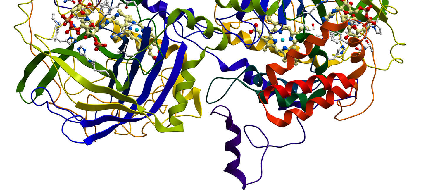 Research on Antioxidant Role in Schizophrenia and Psychosis Points to Possible Therapeutic Value of Compound Found in Broccoli
