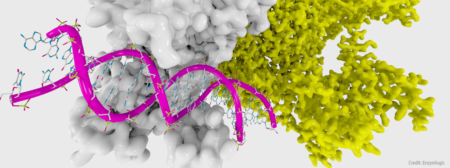 Blocking Overactive Enzyme Could Treat Schizophrenia Symptoms
