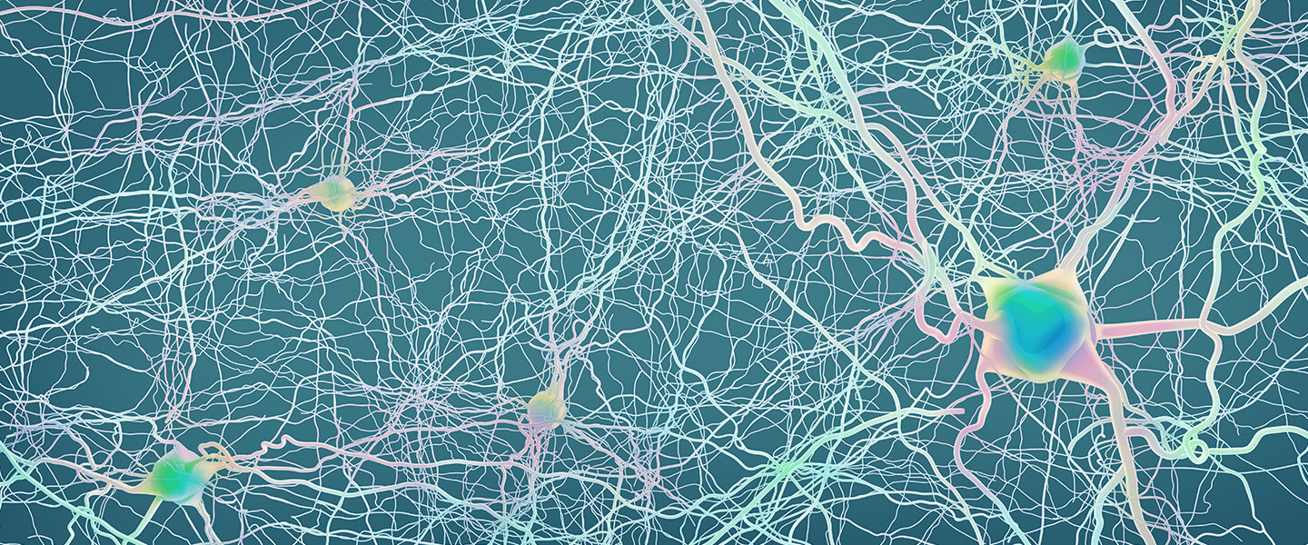 A &#039;Common Causal Circuit&#039; in Depression with Possible Therapeutic Implications
