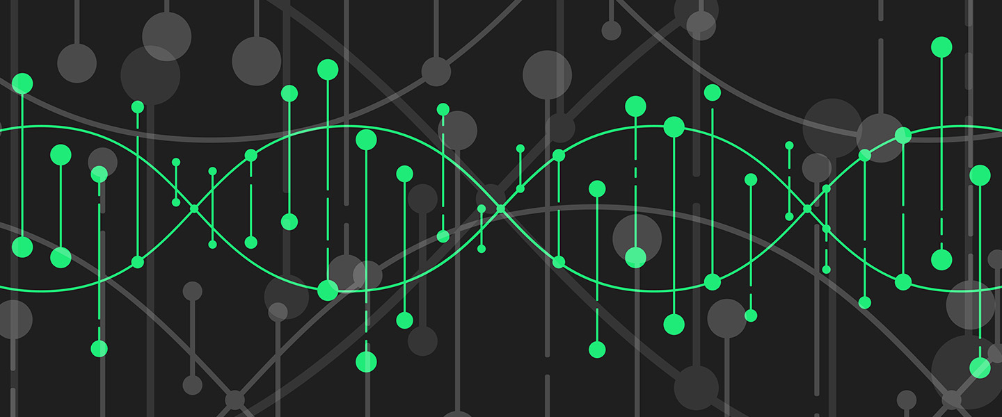 Study Reveals How Gene Regulation Helps Determine Brain Development, Shedding Light on Neurodevelopmental Disorders
