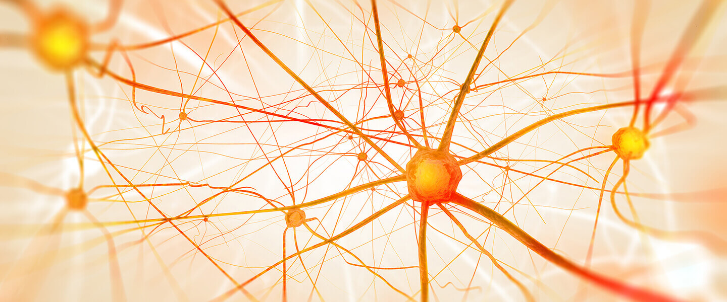 Low Levels of Cannabinoid Receptor in New Psychosis Patients Suggest a Possible Drug Target
