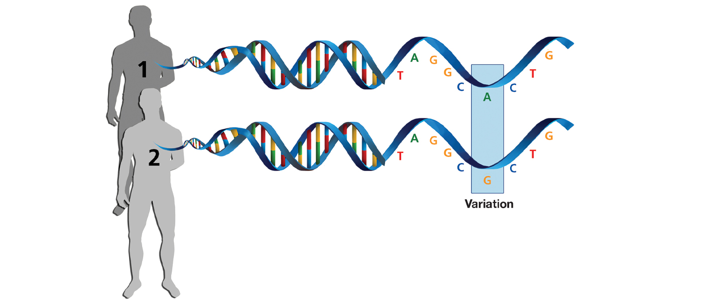 A RESEARCHER’S PERSPECTIVE: What Genetics Is Telling Us About Substance Use Disorders