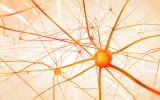 Vagus Nerve Stimulation Improves Depression Symptoms