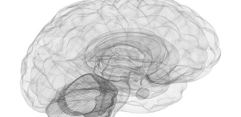 Shrinking of Hippocampus in Bipolar Disorder Patients