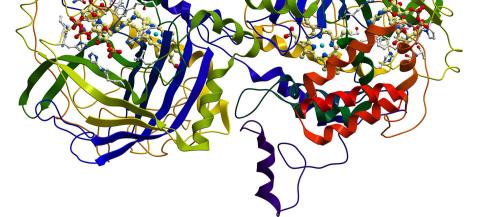 Research on Antioxidant Role in Schizophrenia and Psychosis Points to Possible Therapeutic Value of Compound Found in Broccoli